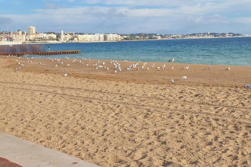 T2 Climatise A 5 Minutes A Pied De La Plage Avec Parking, Piscine Et Wifi Fréjus Dış mekan fotoğraf